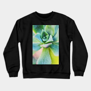 Pastel Succulent Crewneck Sweatshirt